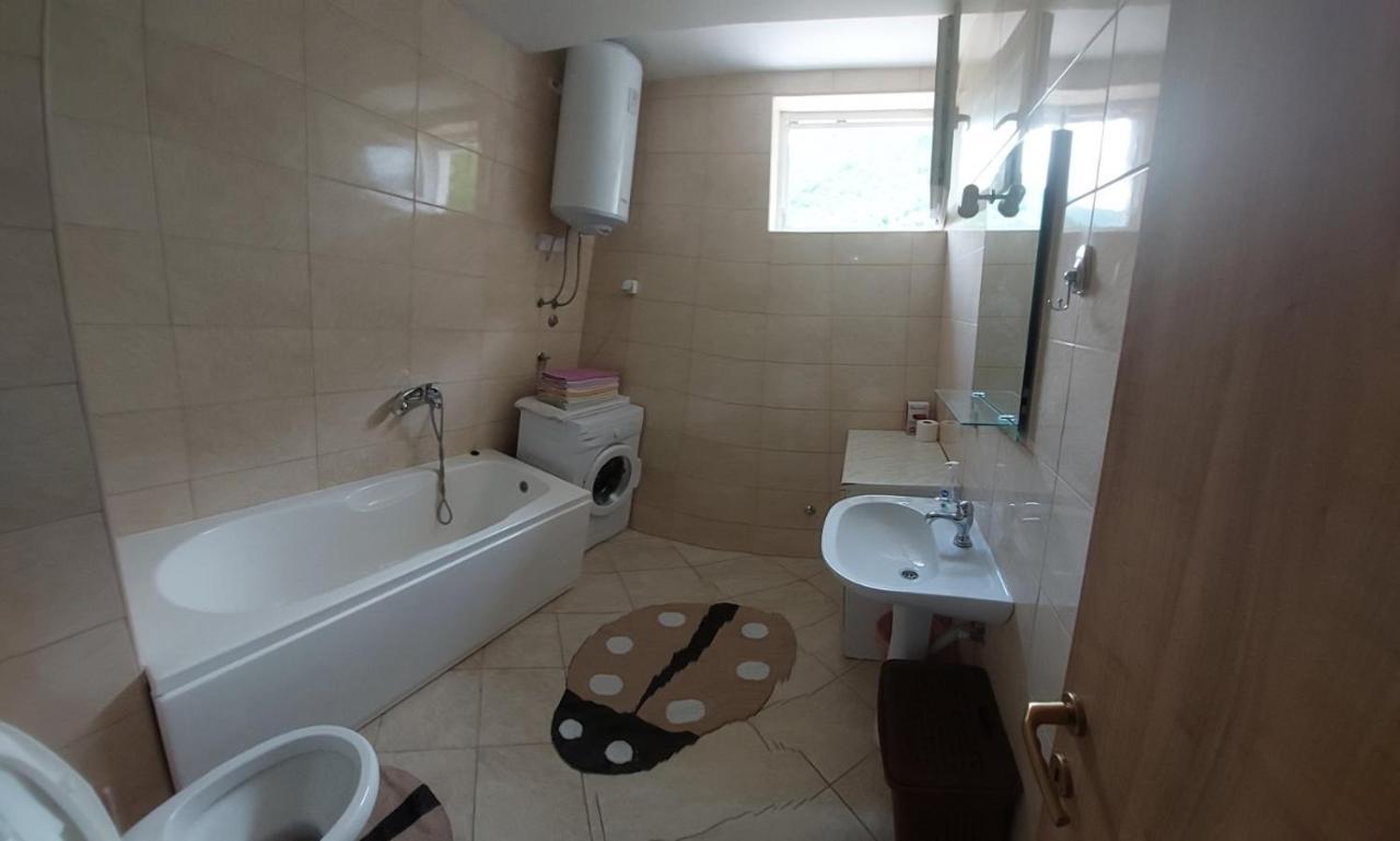 Apartman Bujisic Apartment Pluzine Luaran gambar